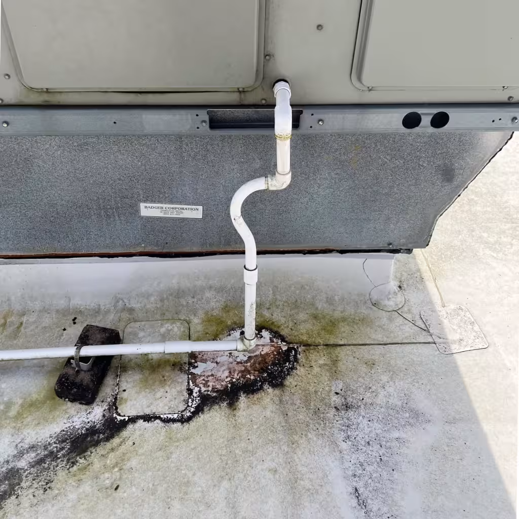 Cleaning HVAC condensate drains